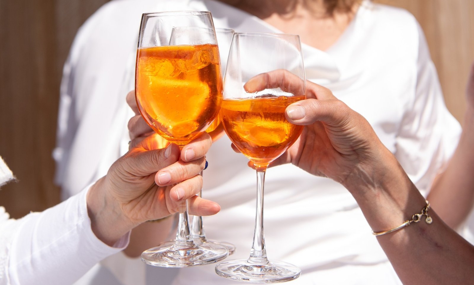 Guests raising a toast at The Meryan House